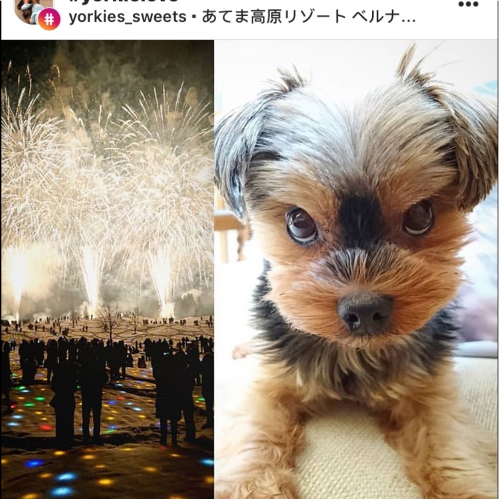 Meet your Posher, Tammy